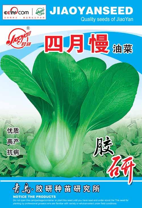   April Slow Rape——Rape